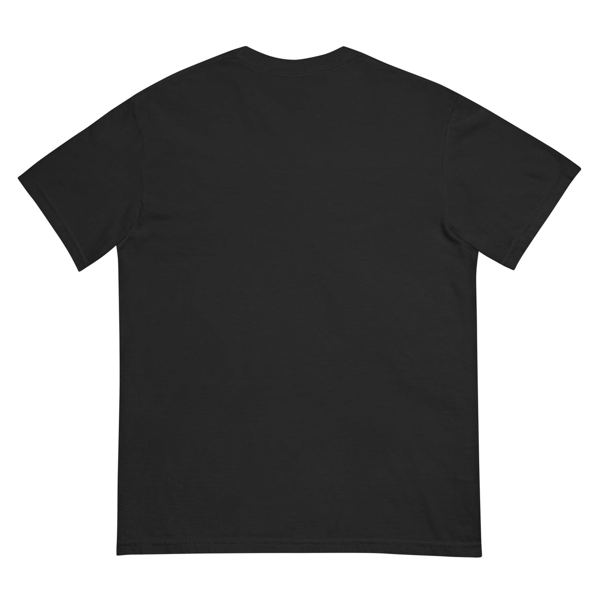 Camiseta gruesa teñida AntiInfluenzer unisex